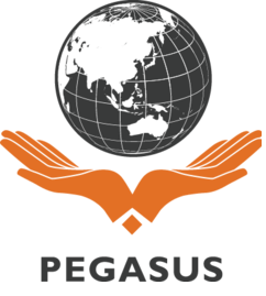 Pegasus